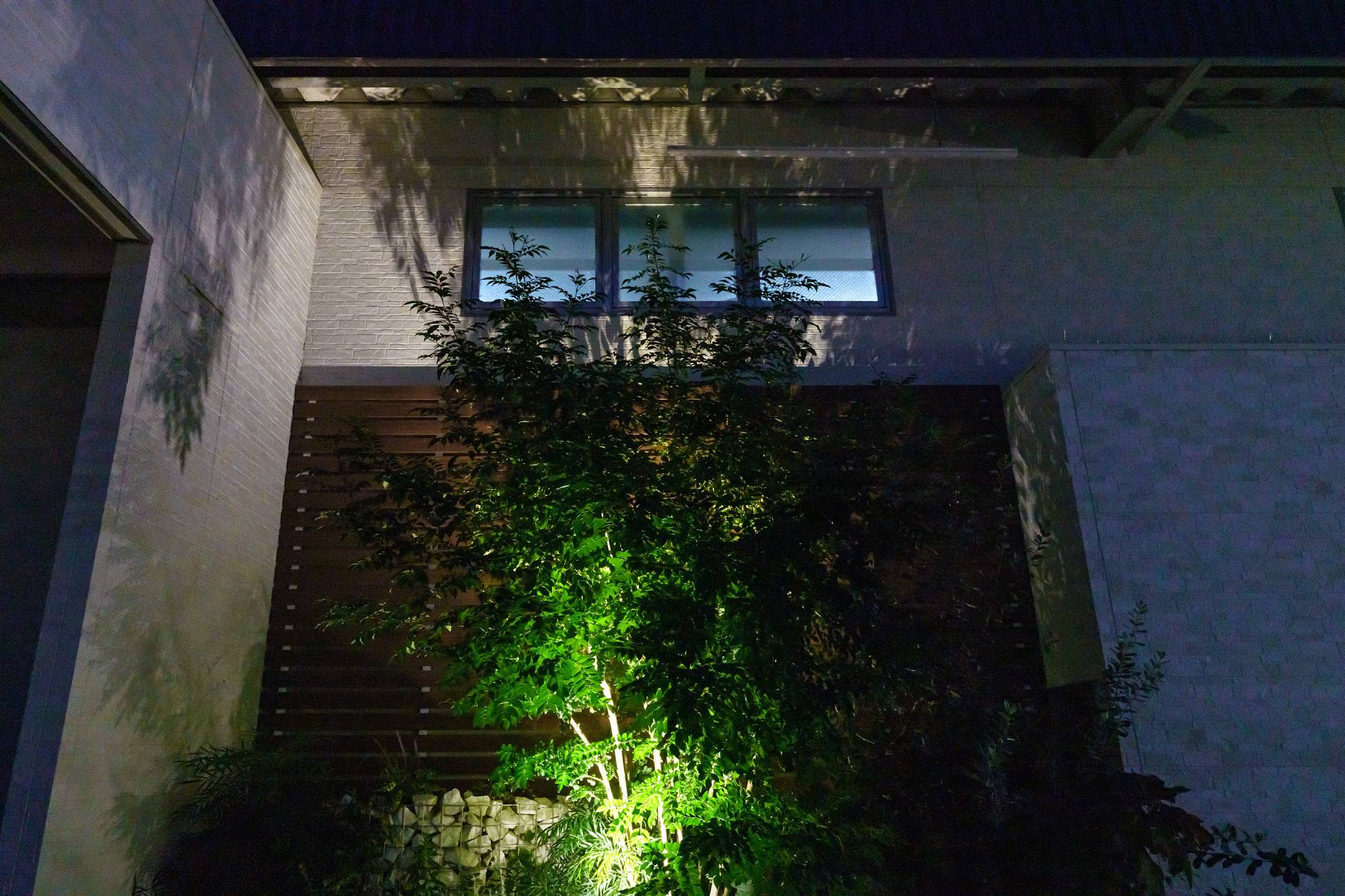 夜間は樹木をライトアップしています2